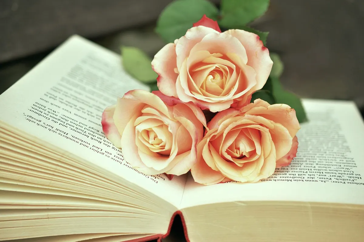 How Literary Prizes Work: Inside the Judging, Shortlists and Public Impact