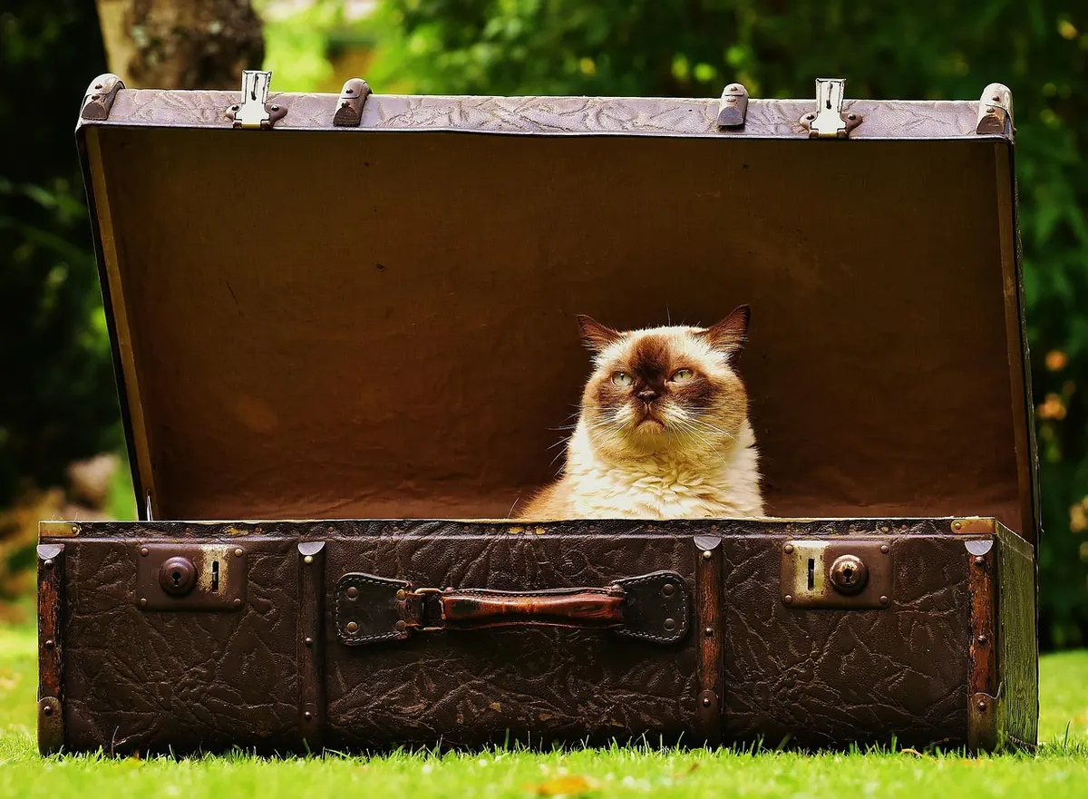 The Summer Holiday Reading Checklist for British Travellers